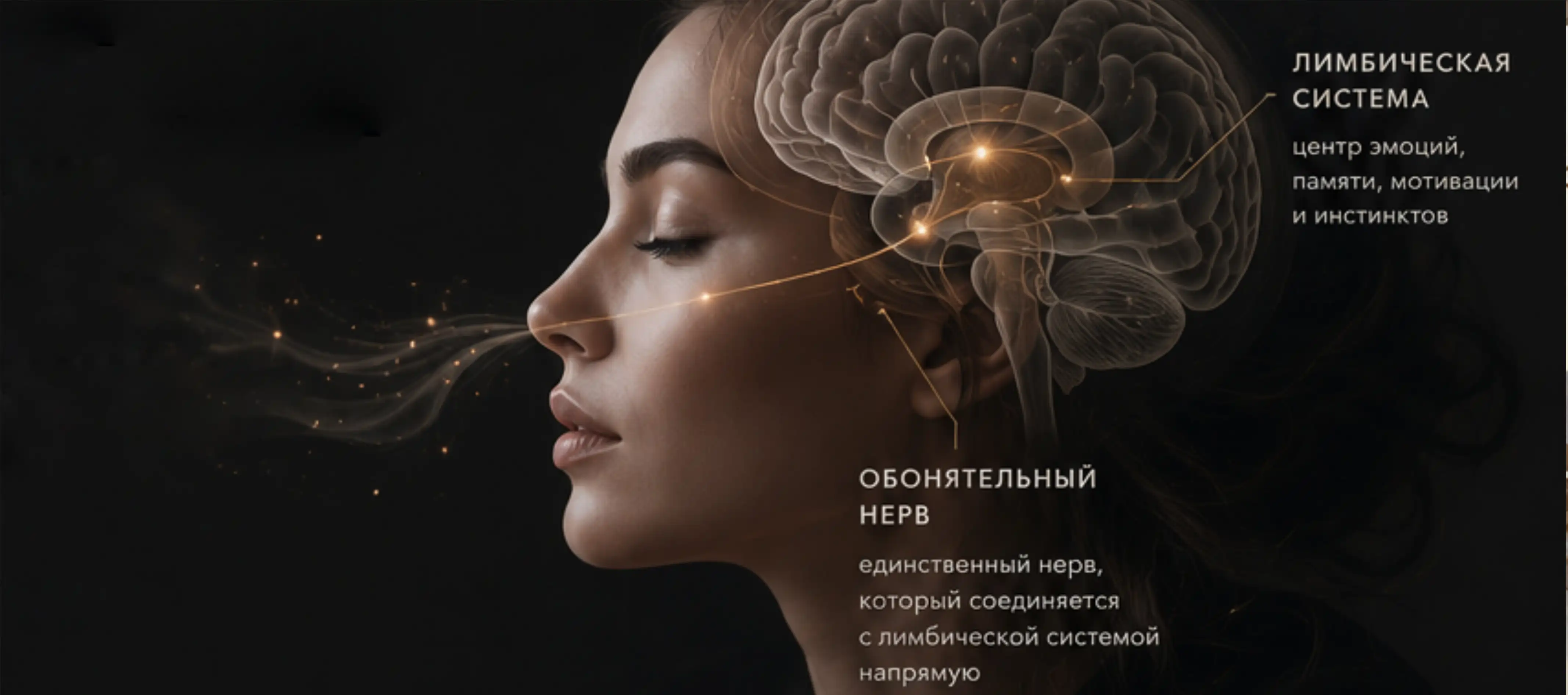 Раскрытие потенциала ольфакторной избирательности